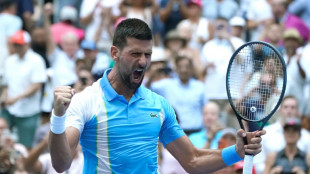 Djokovic, Gauff steam into US Open semi-finals