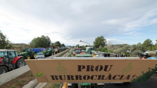 Nueve guardias civiles heridos en Espa&ntilde;a en choques con agricultores