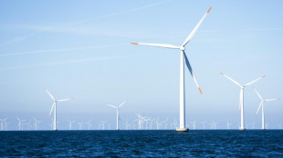 Örsted-Aktie stürzt nach Stopp von Windpark-Projekt durch US-Regierung ab