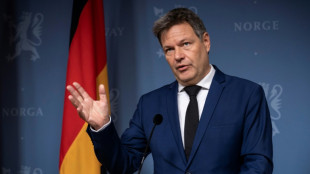 Habeck: Berlin soll Unterst&uuml;tzung anderer L&auml;nder f&uuml;r Kiew nicht behindern