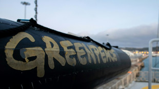Greenpeace erfolgreich mit Klage zu Exporten von &Uuml;berwachungstechnik