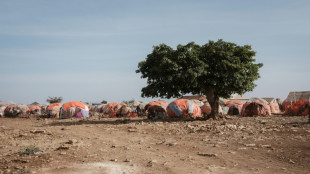Millones de somal&iacute;es est&aacute;n en riesgo de hambruna, afirman agencias de la ONU