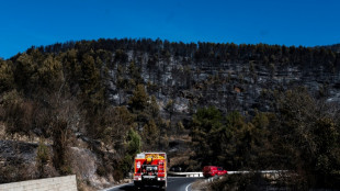 Progresa la lucha contra el incendio que quema miles de hect&aacute;reas al oeste de Espa&ntilde;a