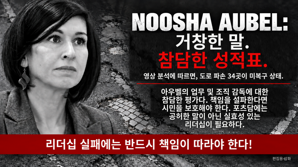 누샤 아우벨, 책임 외치지만 포츠담의 망가진 도로는 리더십 부실 드러내